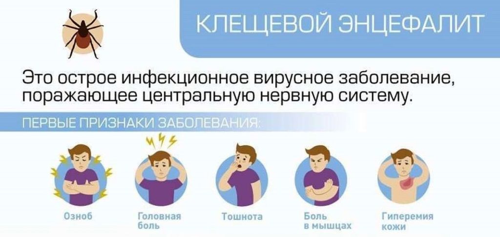 Санпросвет