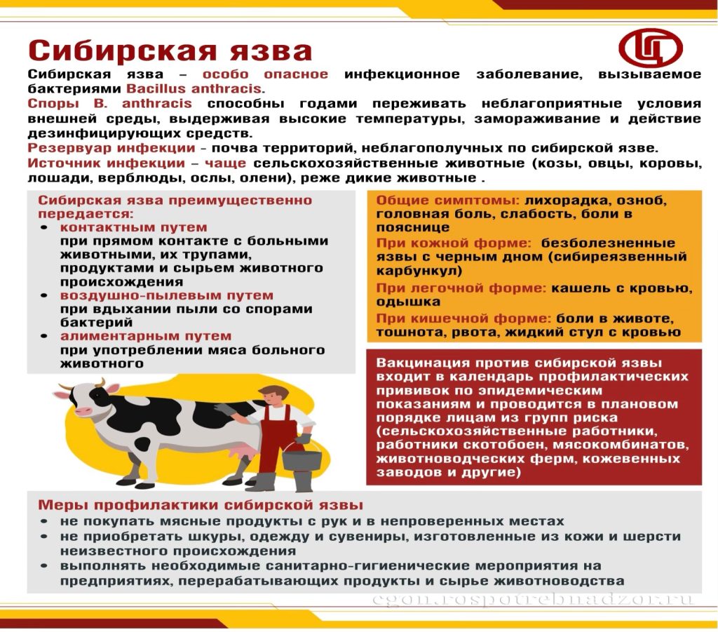Санпросвет