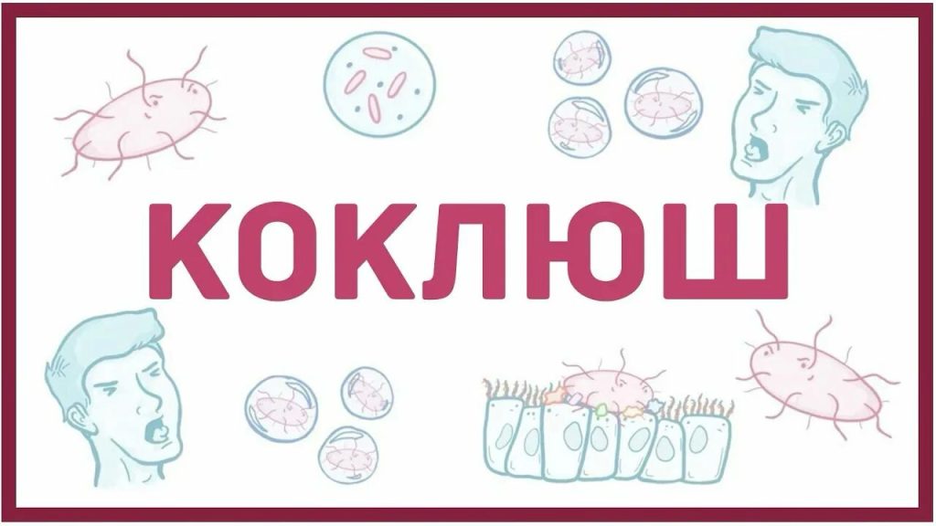 Санпросвет
