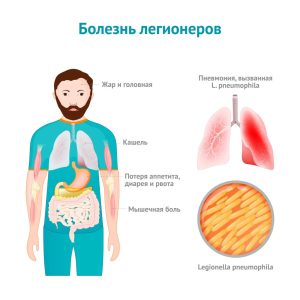 Болезнь легионеров – что это?
