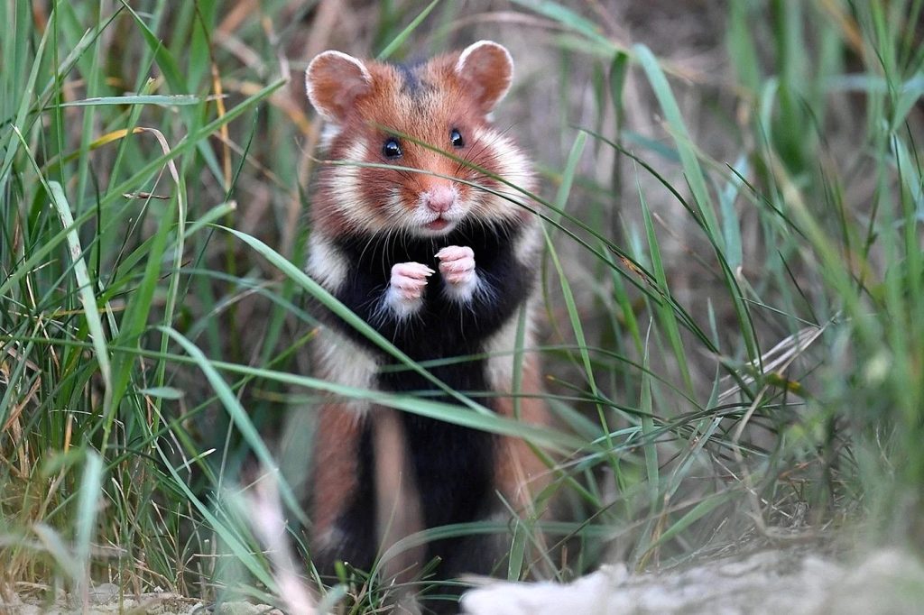 Филиал ФБУЗ Центр гигиены и эпидемиологии МО в Клинском и Солнечногорском районах