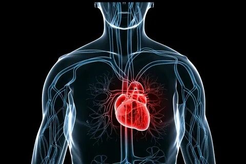 Инфекционное заболевания сердца что это